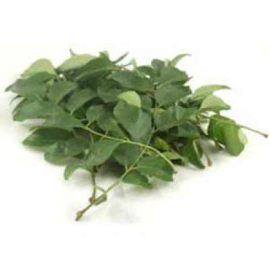 FRESH CURRY LEAVES